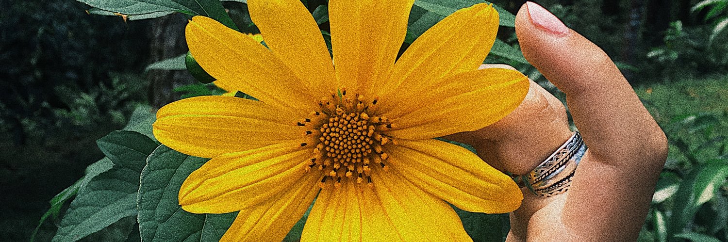 ShayannaMay's profile banner image