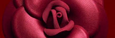 iamshhh_______'s profile banner image