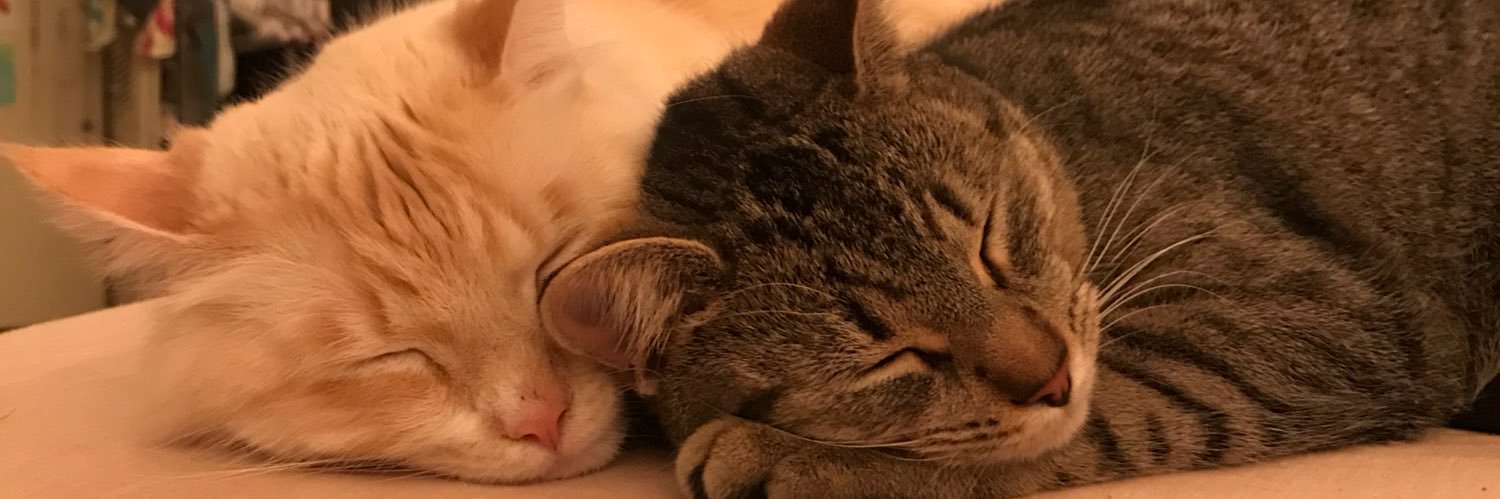 marlyanderson's profile banner image