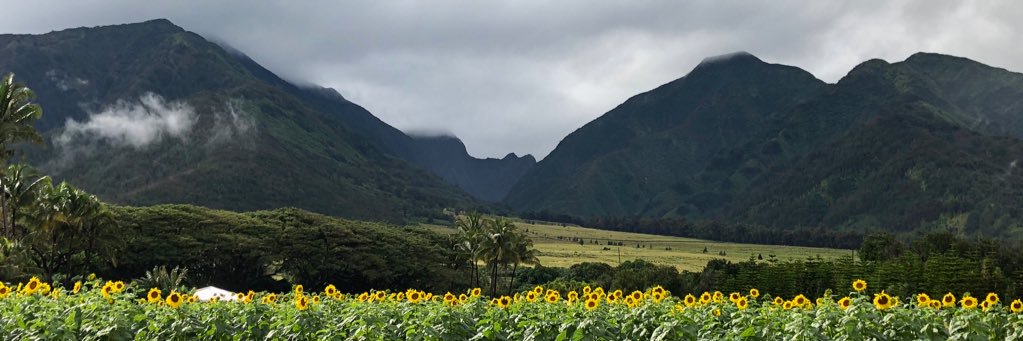 mrscjosiah's profile banner image
