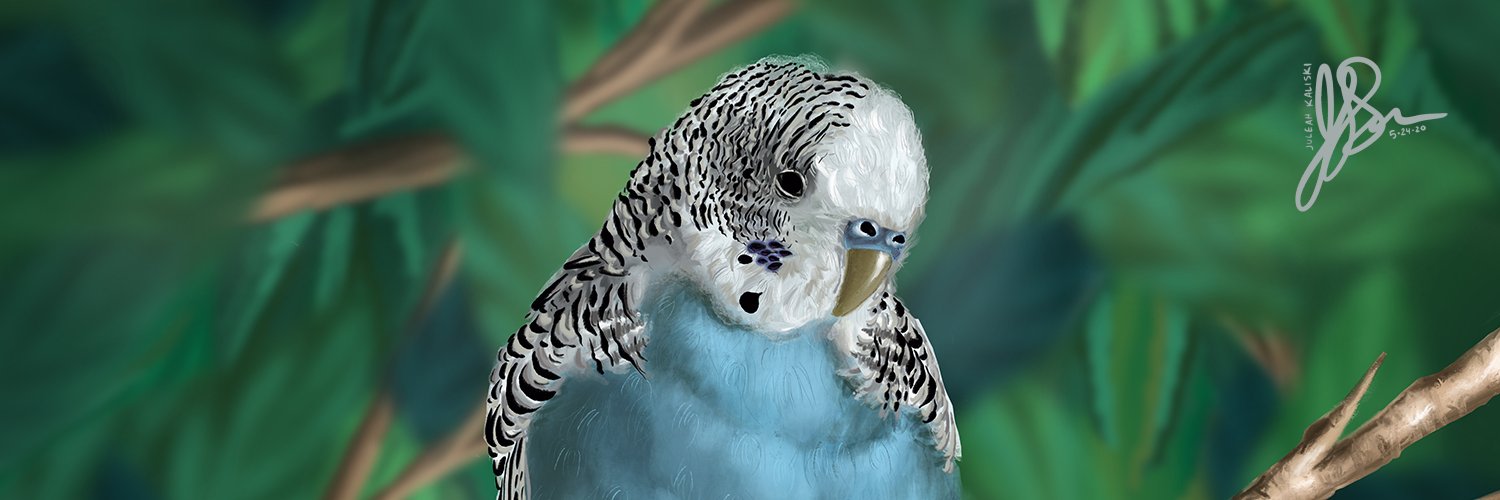 HughesMDflyer4's profile banner image