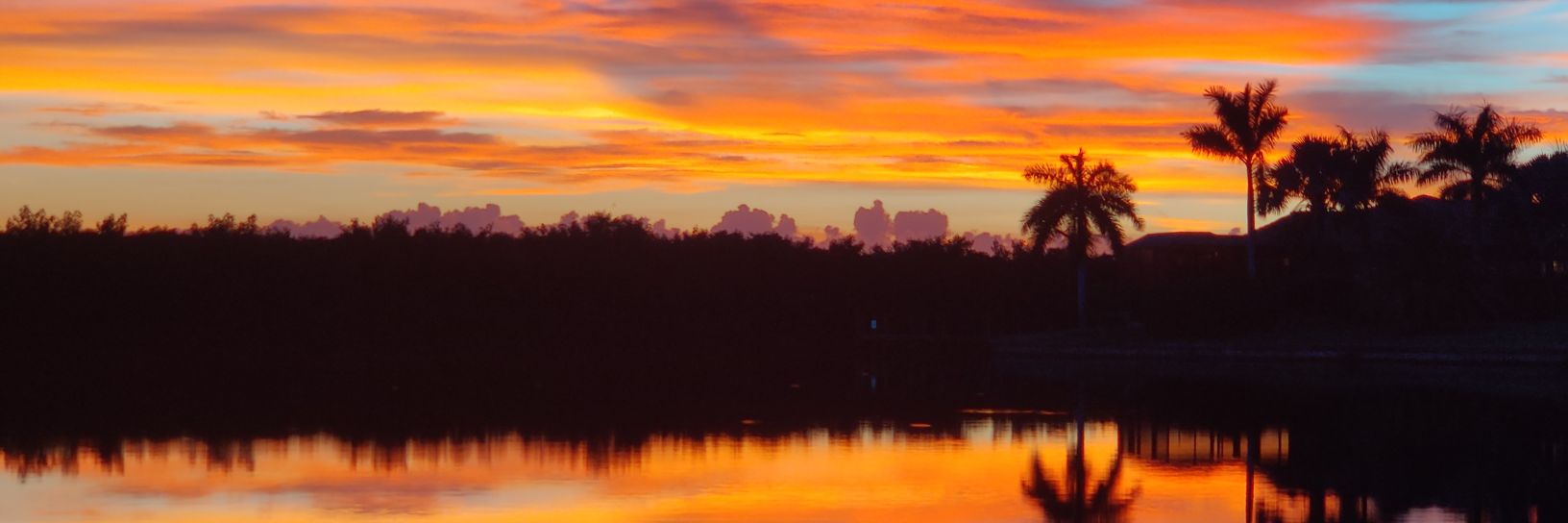 lovingFLlife's profile banner image
