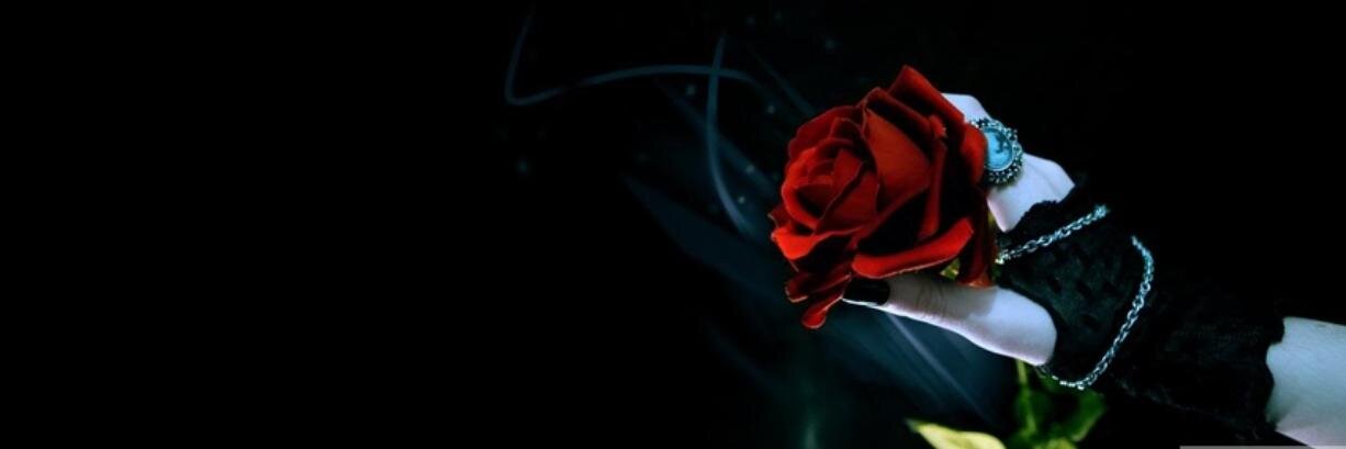 metalrose_'s profile banner image
