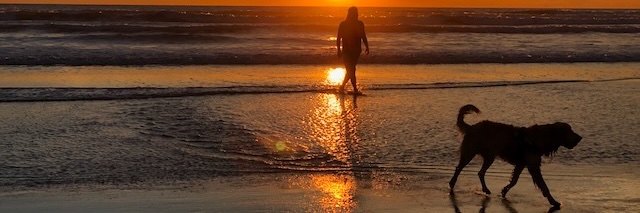 ☮️ Aspie's Maven  ☮️ banner