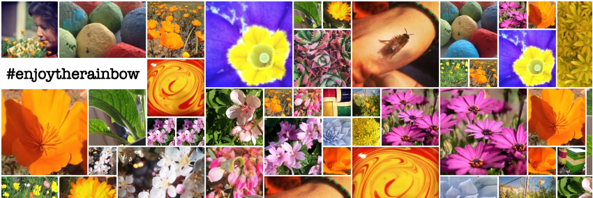 GrowTheRainbow's profile banner image