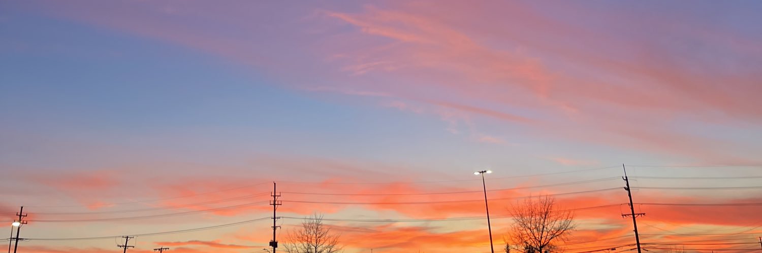 elviaflores_'s profile banner image