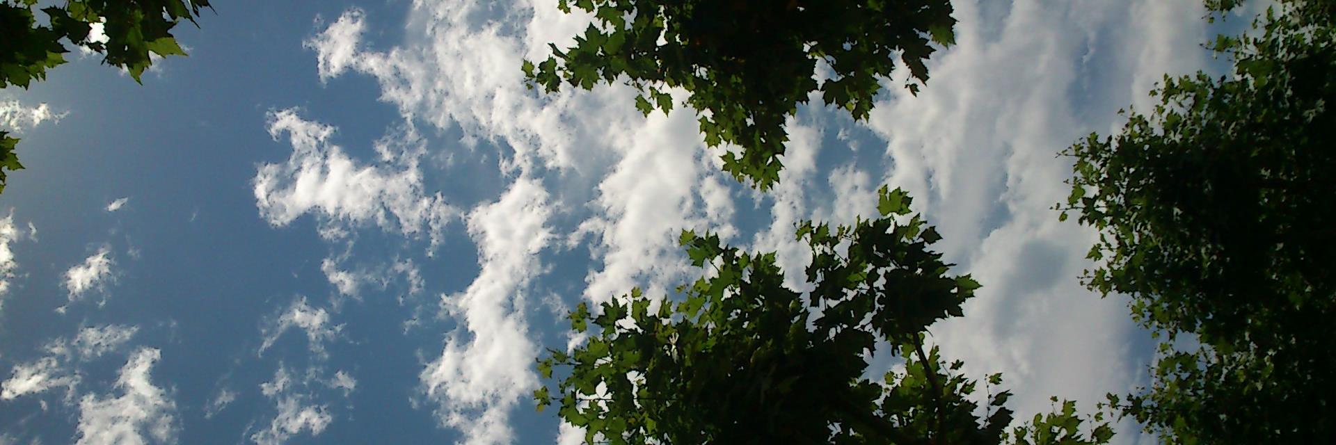 davidindebcn's profile banner image