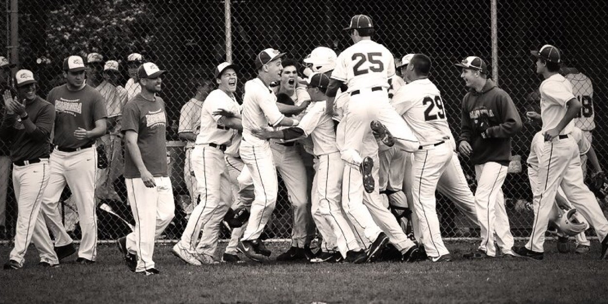Mustang Baseball ⚾️ banner