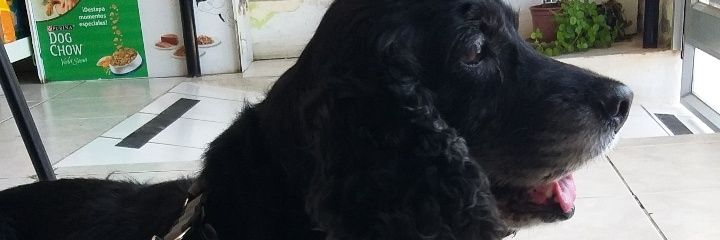 Fah26_'s profile banner image