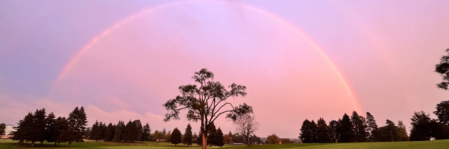 Ryan Lechtner banner