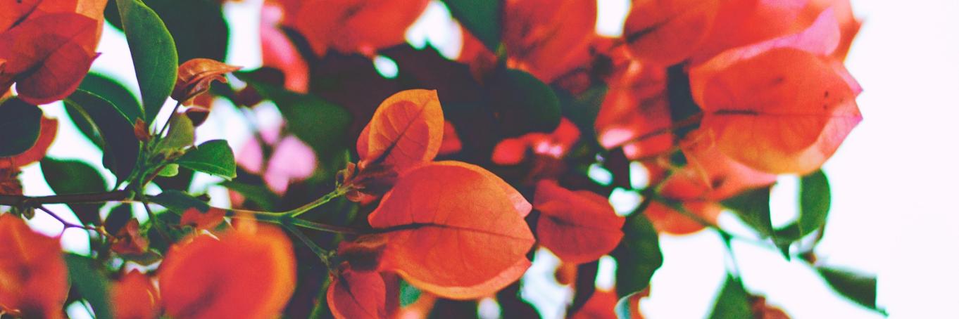 co_sutherland's profile banner image