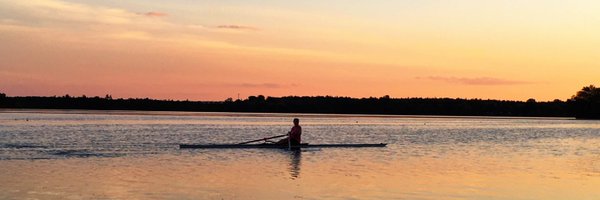 ZOLLdatagirl Profile Banner