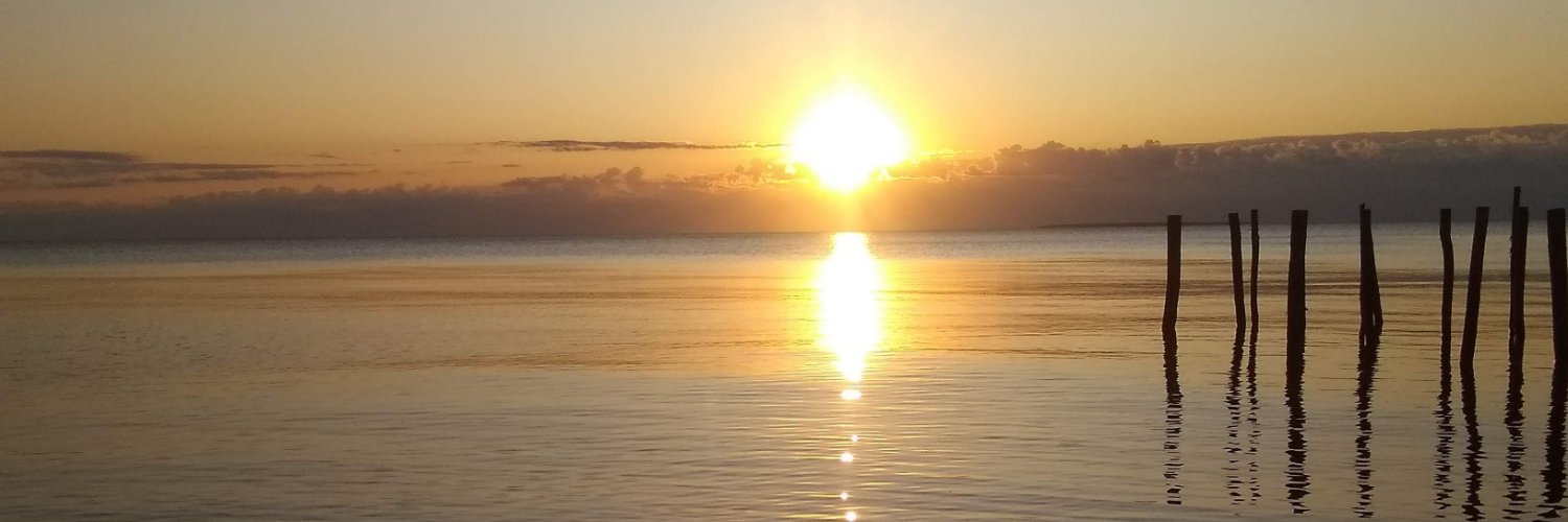 EarthAngelReiki's profile banner image