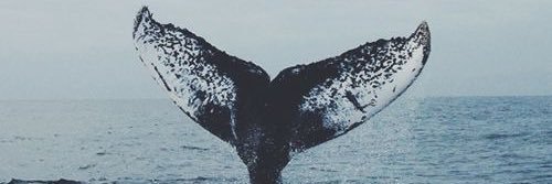 UAtlQua's profile banner image