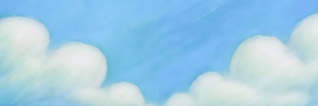 shellyscud's profile banner image