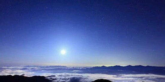 大阪鹿🦌(奈良鹿) banner