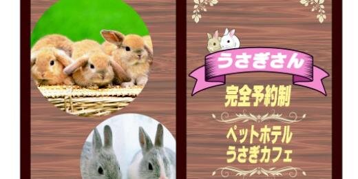 7463Ican's profile banner image