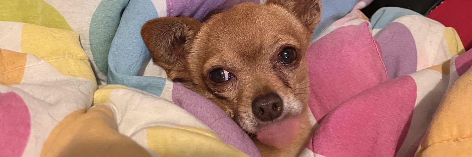 peruvianbeans's profile banner image