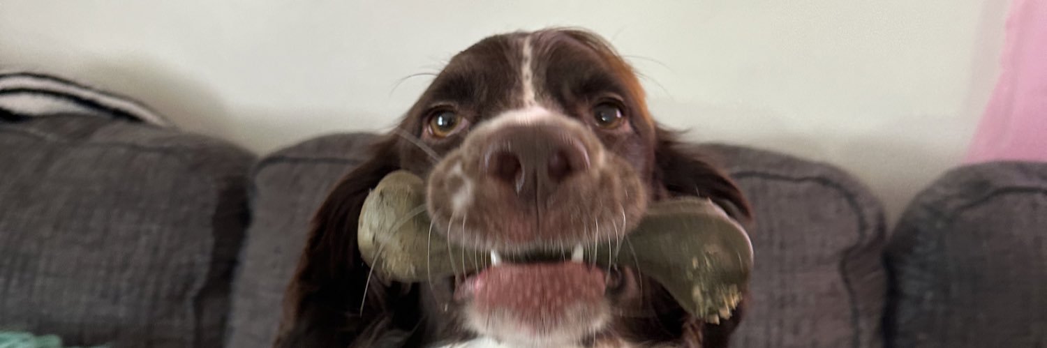 ConnerDesi's profile banner image