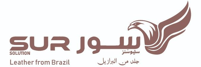 Sur_qtr's profile banner image