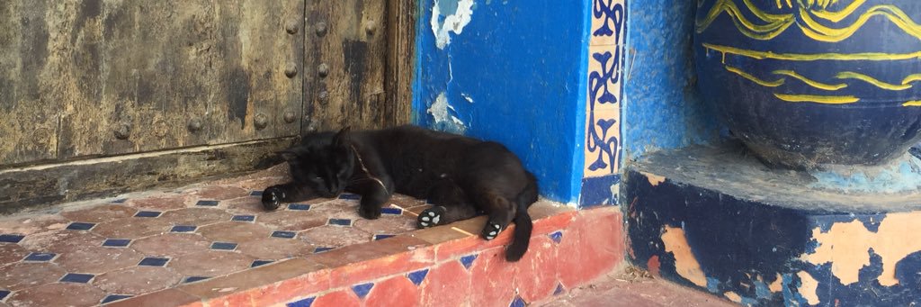 Stephanie Siek banner