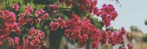 hagarayman93's profile banner image
