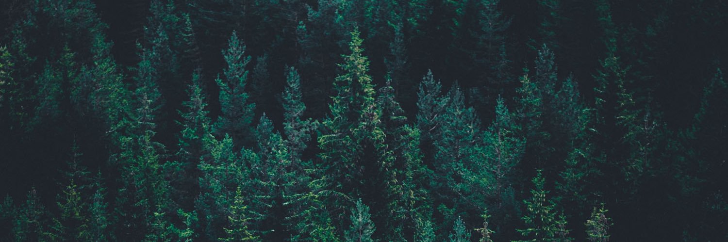 meuszy's profile banner image