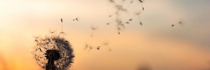 cewekvirtual's profile banner image