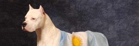 Iglesia Lautarista Ortodoxa banner