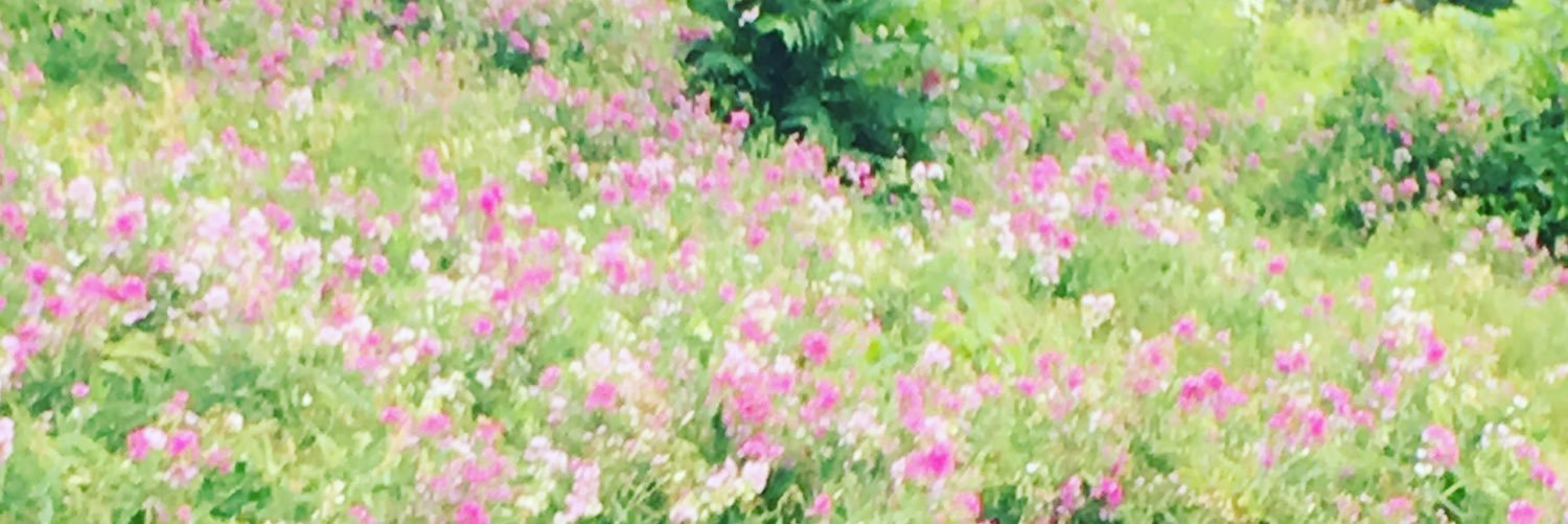 JessicaLPike's profile banner image