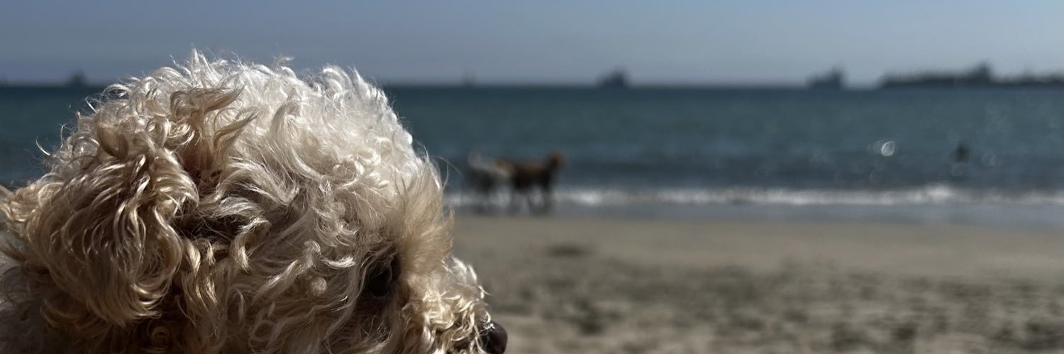 melss1_'s profile banner image