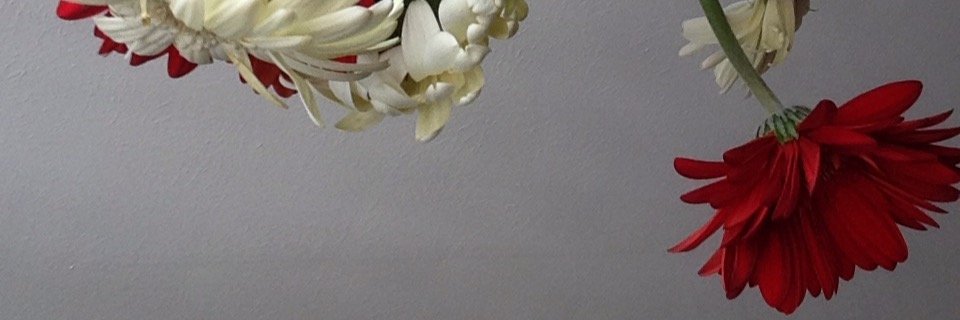 2ndAurora's profile banner image