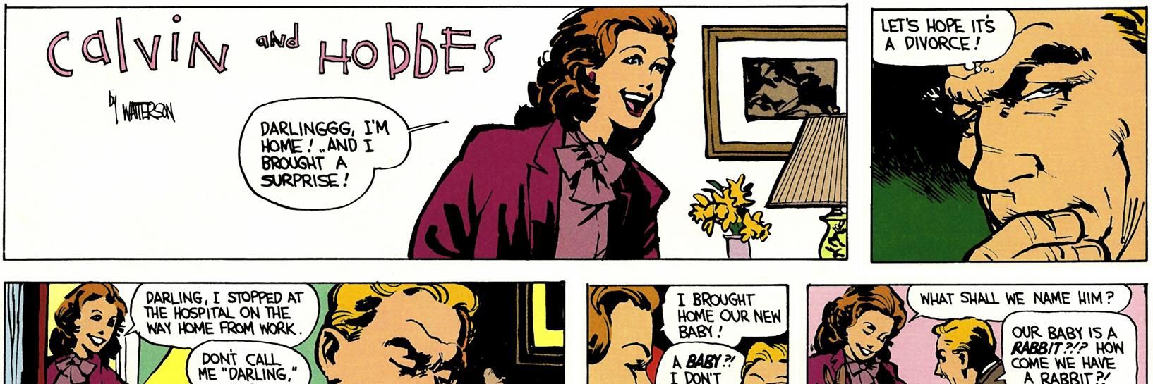 Mr. Nick Cheney banner