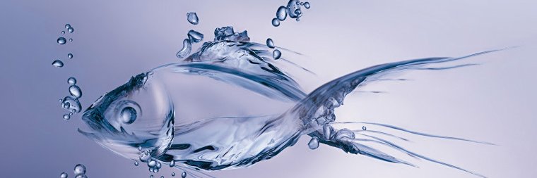 Julia Manarova banner