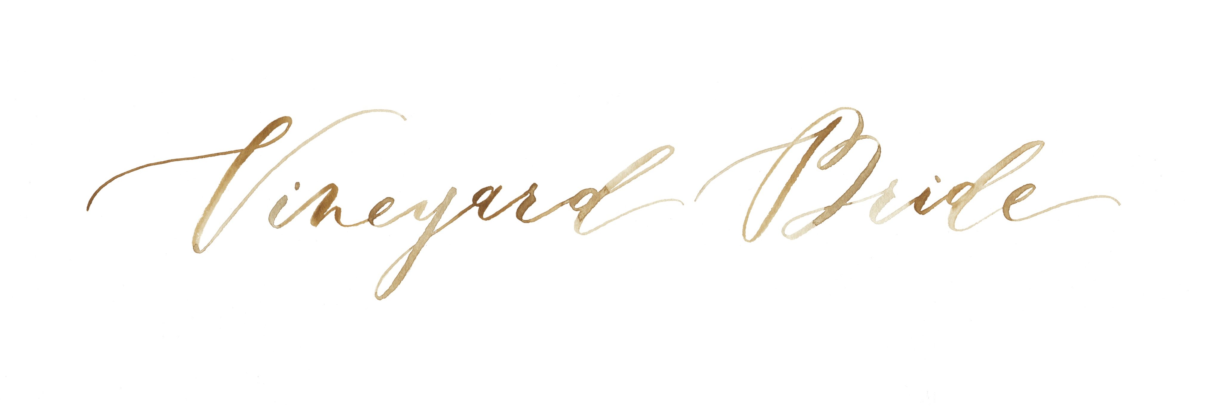 vineyrdbride's profile banner image