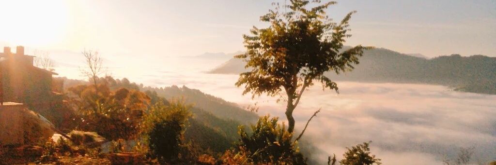 Netrathapa19's profile banner image