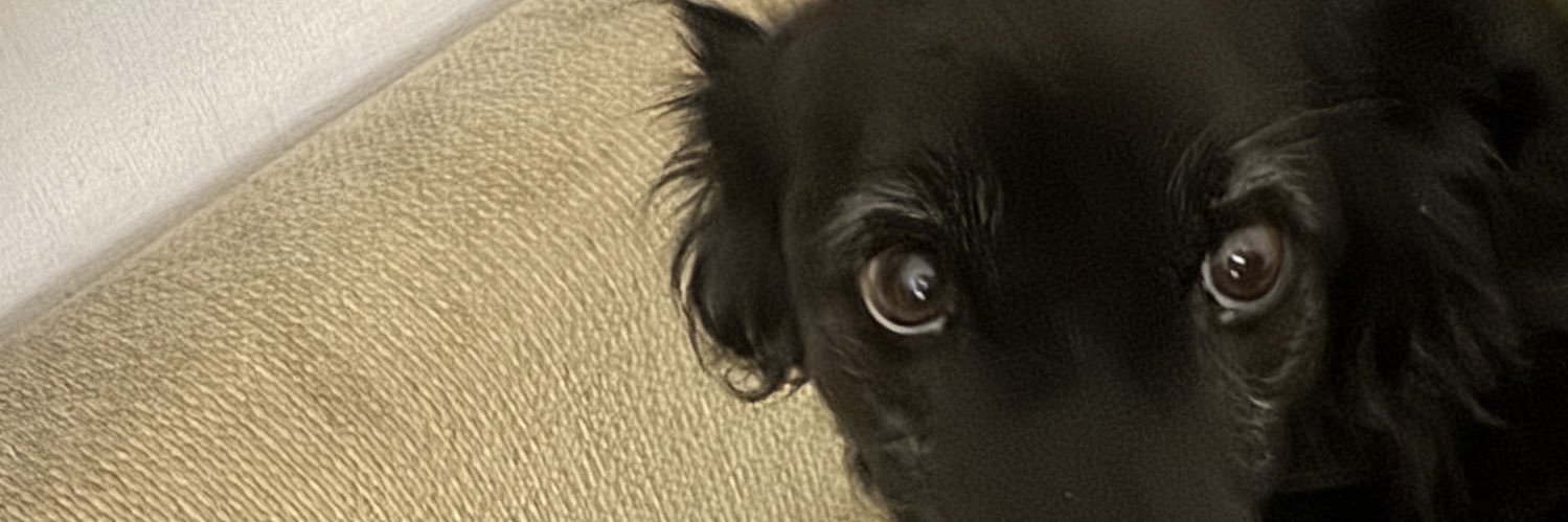 Dave Brereton banner