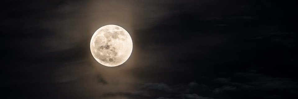 destinyrogue's profile banner image