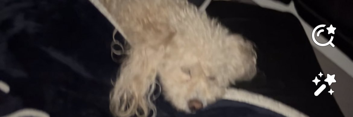 xKyle33's profile banner image