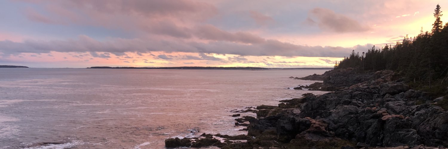 Kathleen Li, MD MS banner