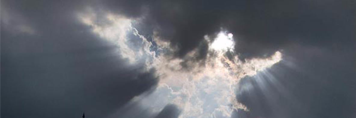 subforalpha17's profile banner image