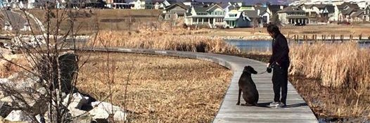 JoshDeButts's profile banner image