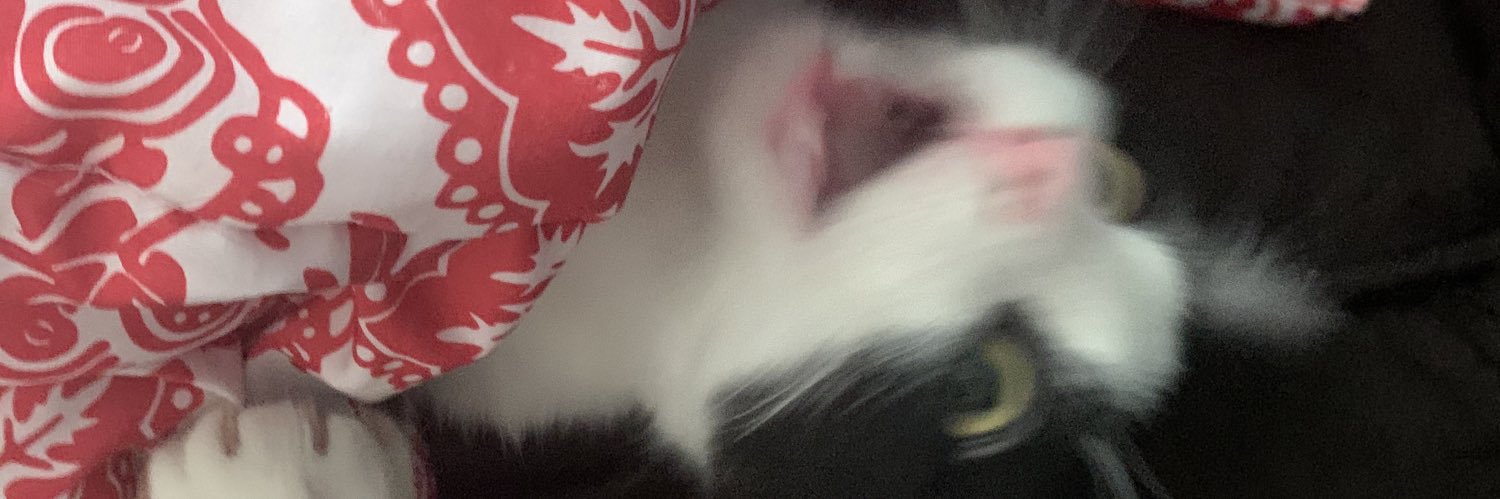 annilarson's profile banner image