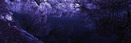 Phire_Blue's profile banner image