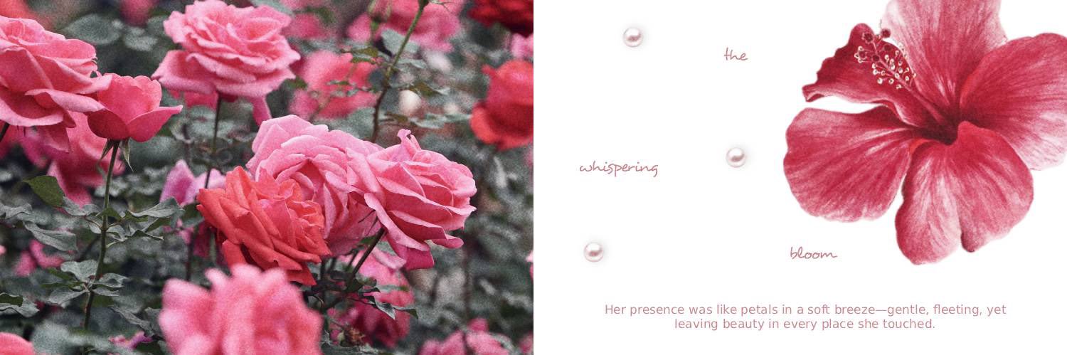 xinsooa's profile banner image