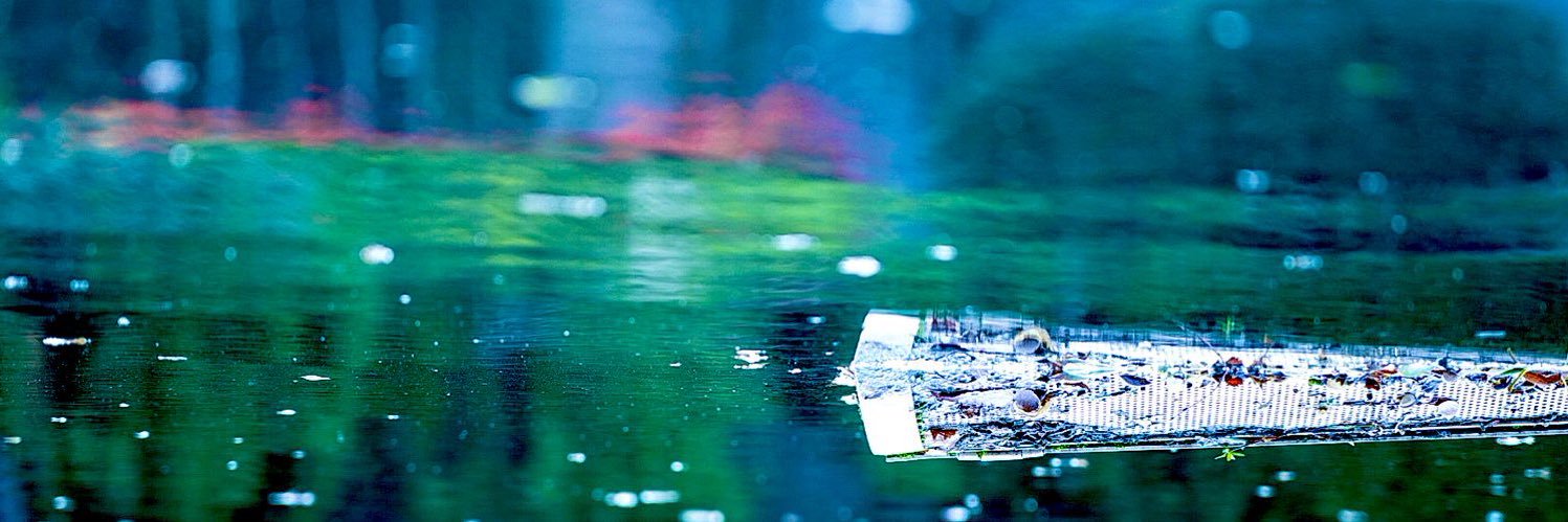 美都 banner