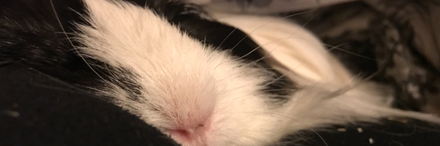 Bexilisious's profile banner image