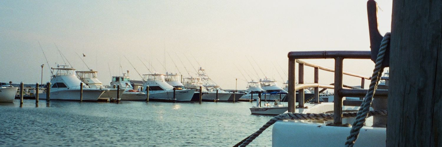 Tarvisz92's profile banner image