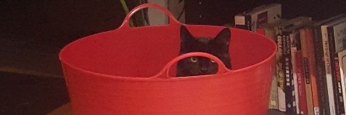 GosperSarah's profile banner image