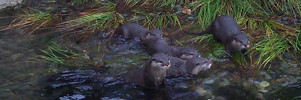 MariaMarshall_ Profile Banner